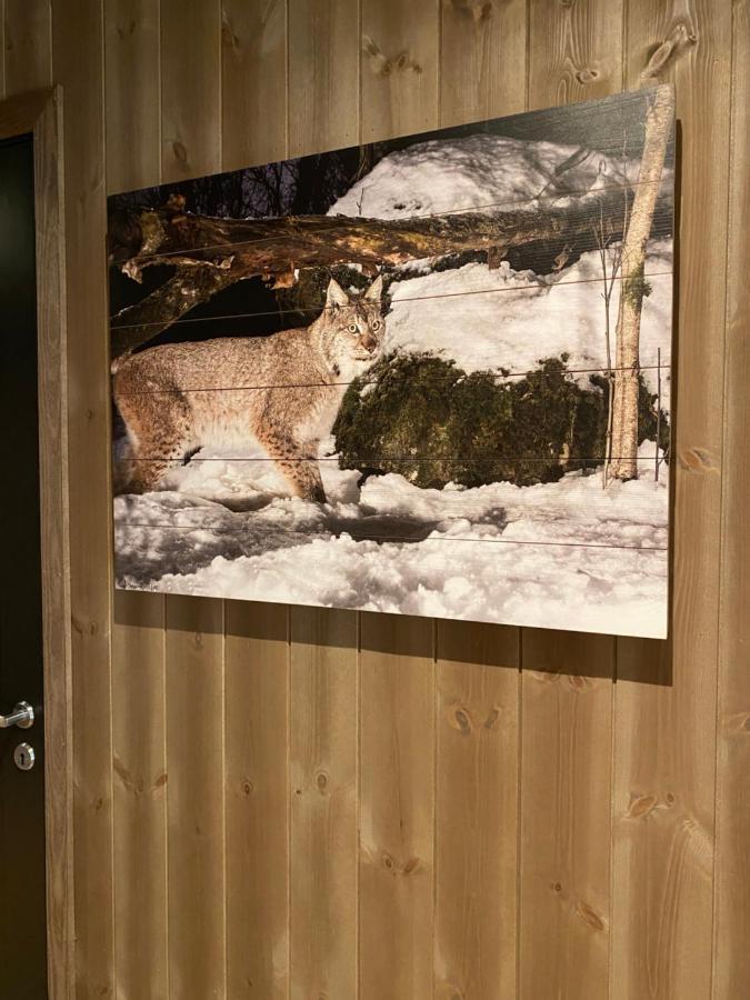New Apartment, Gausta In Rjukan. Ski In/ Ski Out Exterior photo